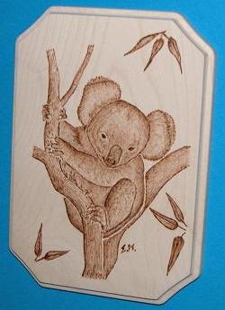 Medaillon mit Koala