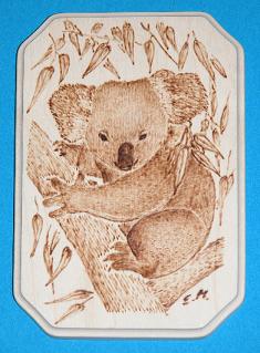 Medaillon klein mit Koala