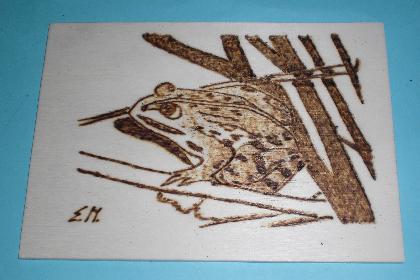 Holz-Postkarte mit Frosch