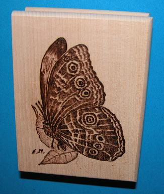 Zettelbox mit Schmetterling